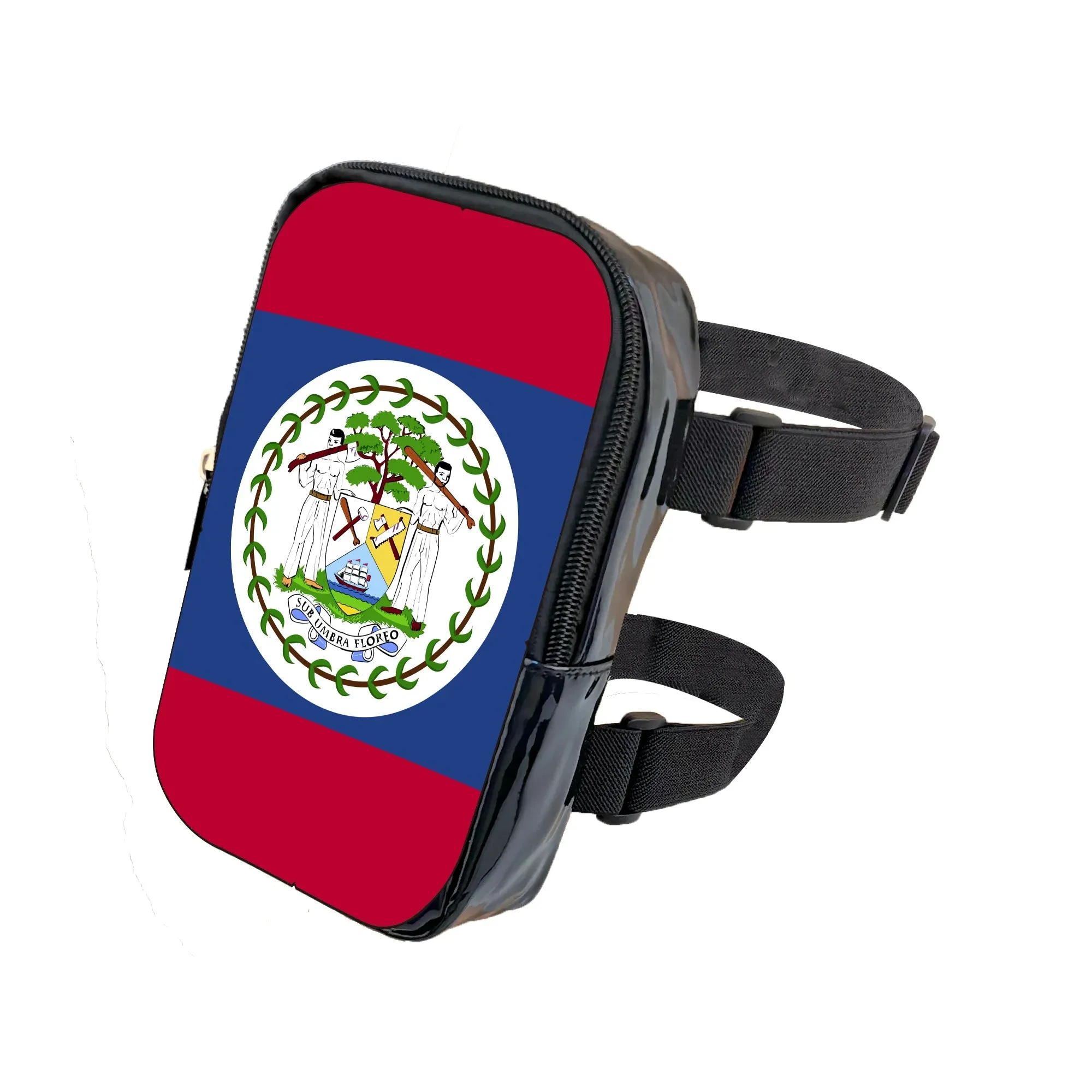 2025 Carnival Leg Band