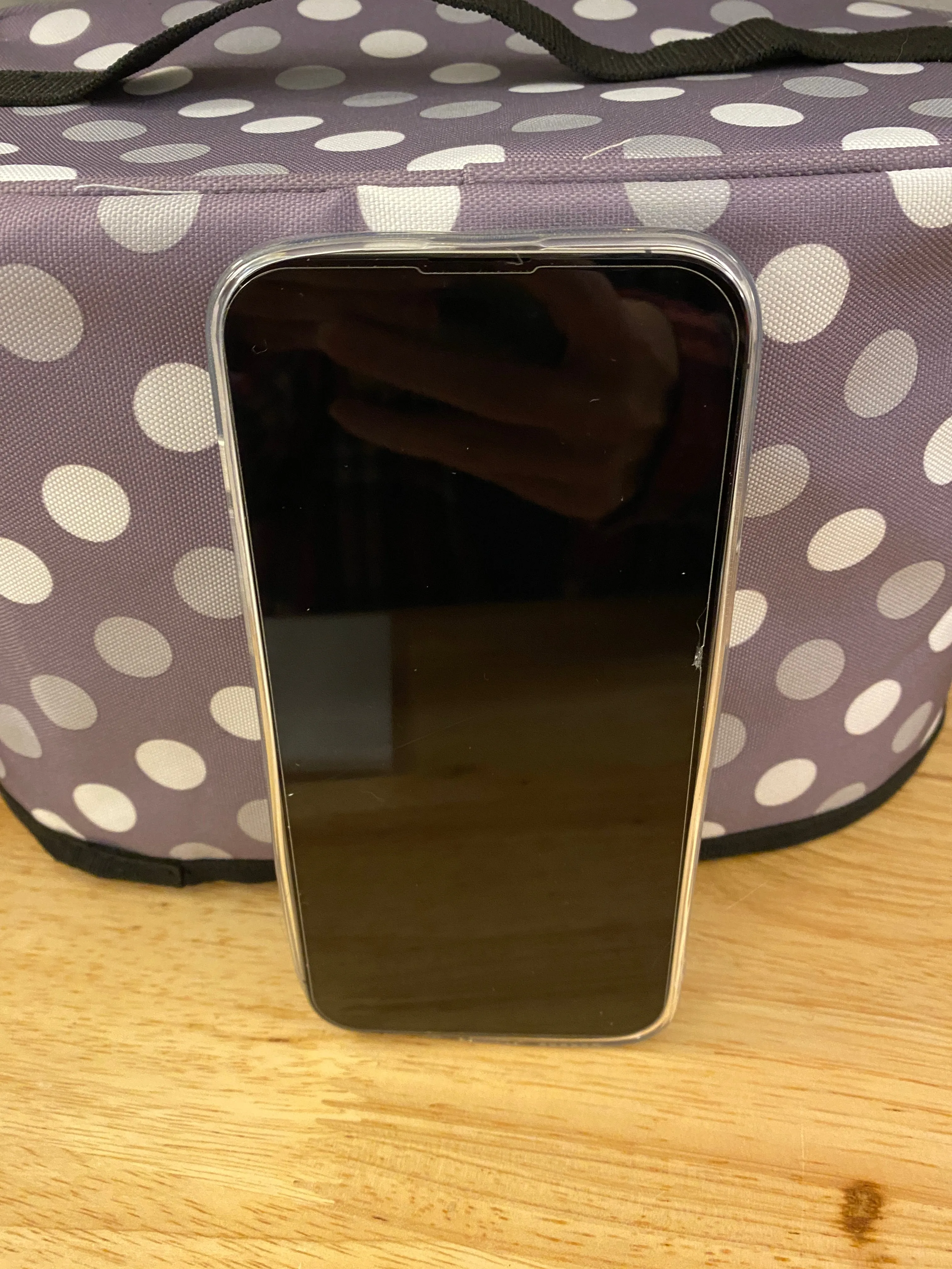 Cute Singing Grey Cat IPhone case with Matching Sticker