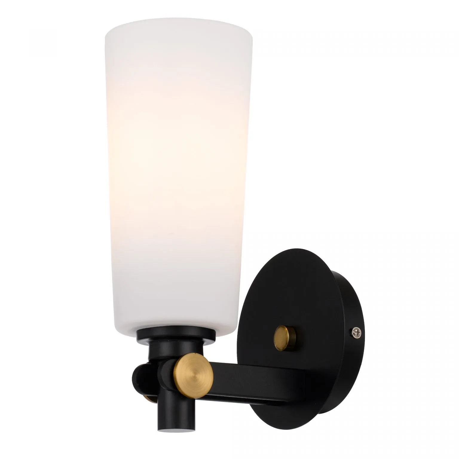 Delmar Black and Opal Matt Industrial Modern Wall Light