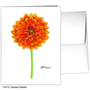 Garden Dahlia, Greeting Card (7301S)
