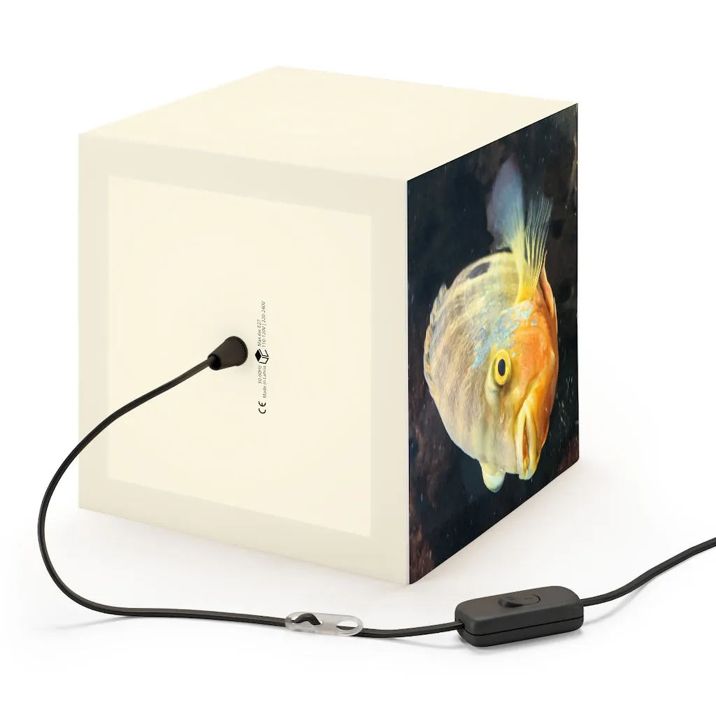 Grey Orange Fish Personalized Lamp