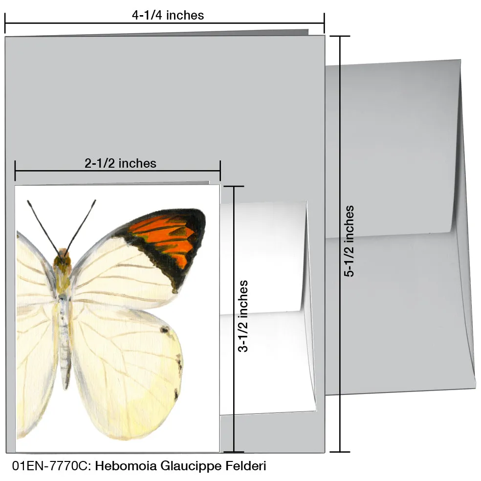 Hebomoia Glaucippe Felderi, Greeting Card (7770C)