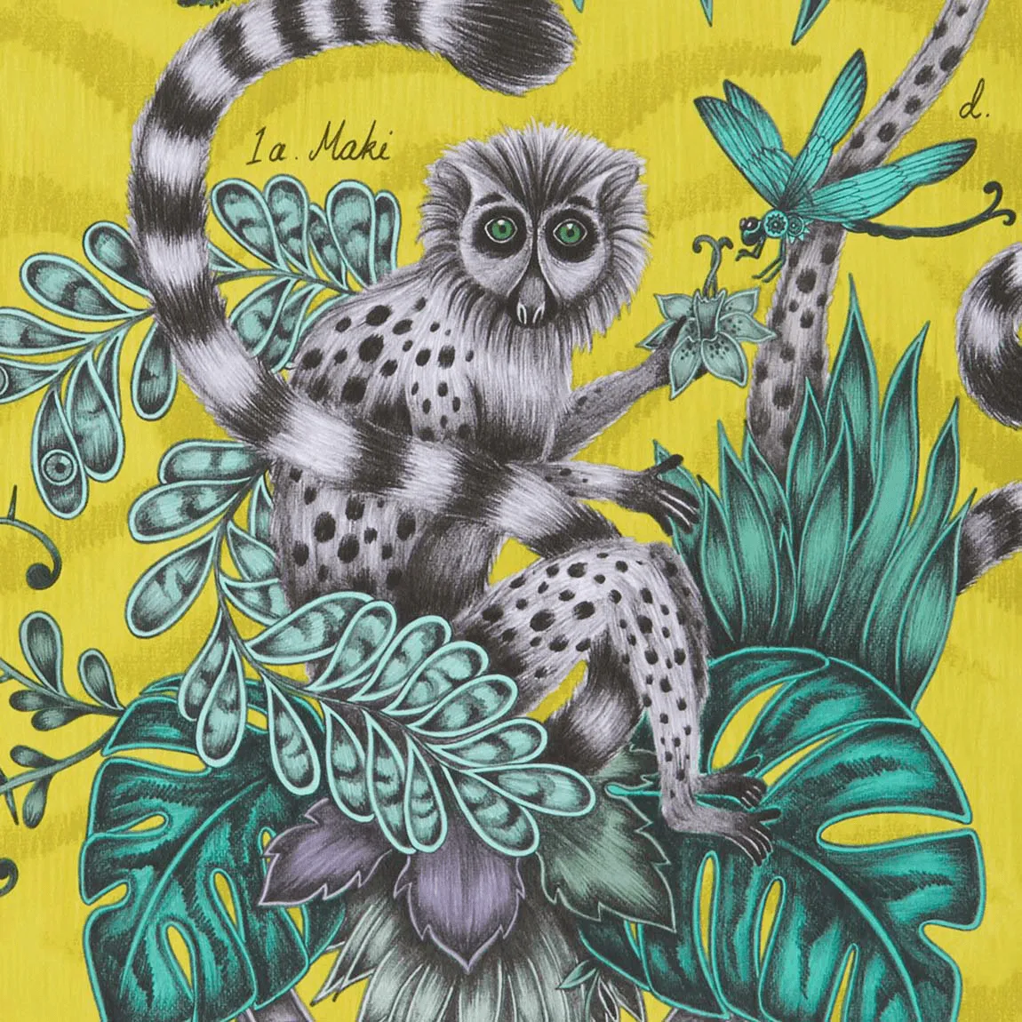 Lemur Wallpaper