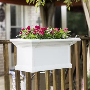 Mayne Yorkshire 2ft Window Box