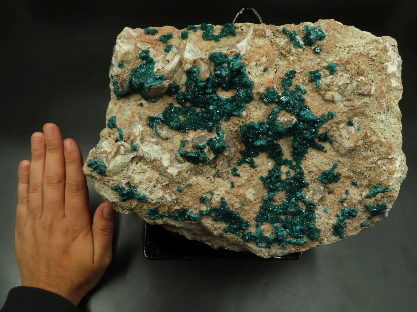 Natural Giant Dioptase Specimen With Bright Emerald Green Crystals & Large Dolomite Crystals - Including Stand x 1 From Congo