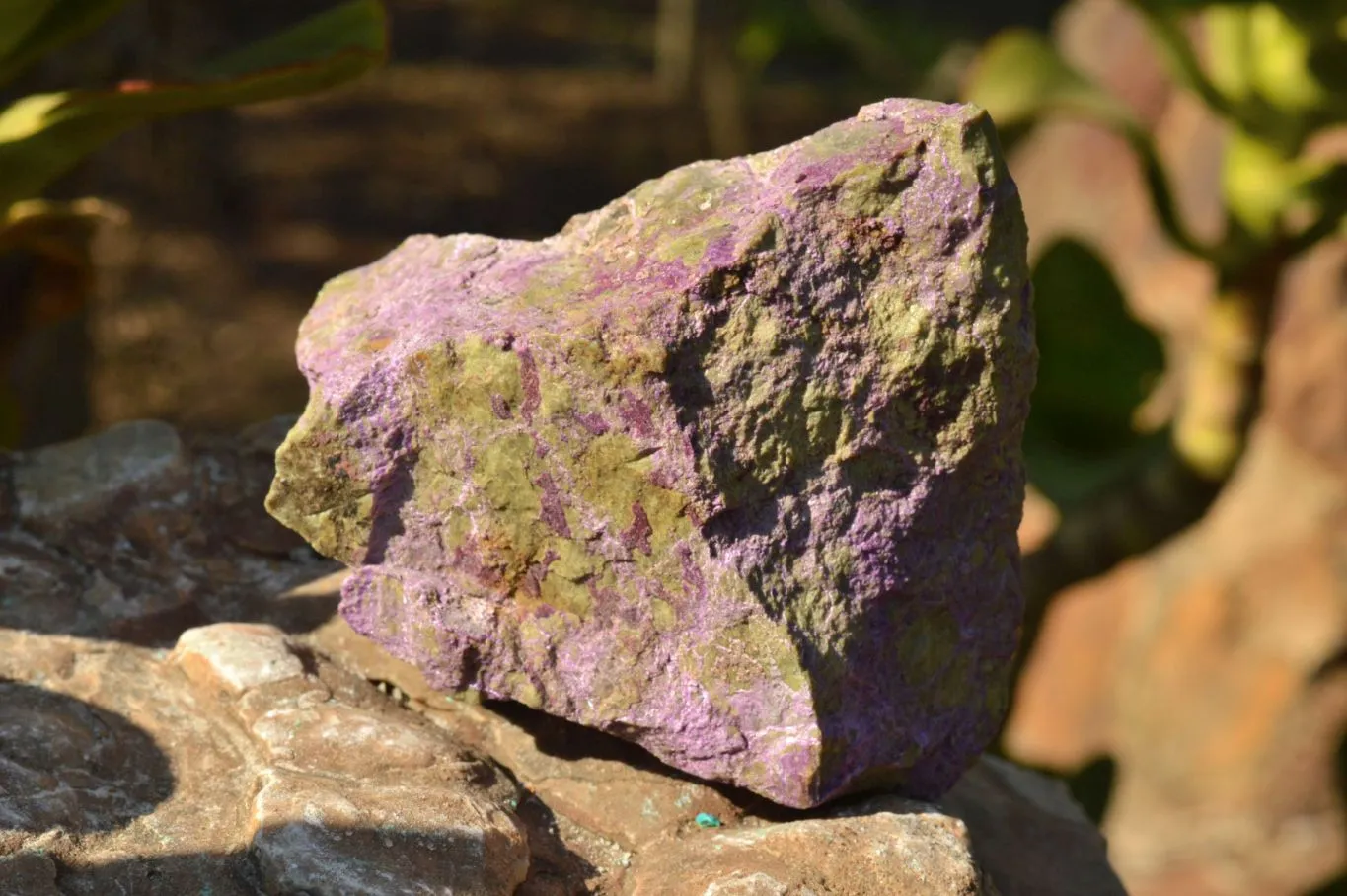 Natural Small Cobbed Selected Rough Stichtite Specimens x 6 From Barberton, South Africa