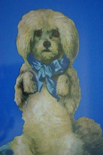 RARE EPHEMERA AMERICANA ANTIQUE, FRAMED ORIGINAL 1880 LARGE VICTORIAN TRADE CARD AD EPHEMERA DIE-CUT POODLE 17 ¾” x 11 ¾” DFPO1F WHIMSICAL ART, ARTIST HAND PAINTED FRAME