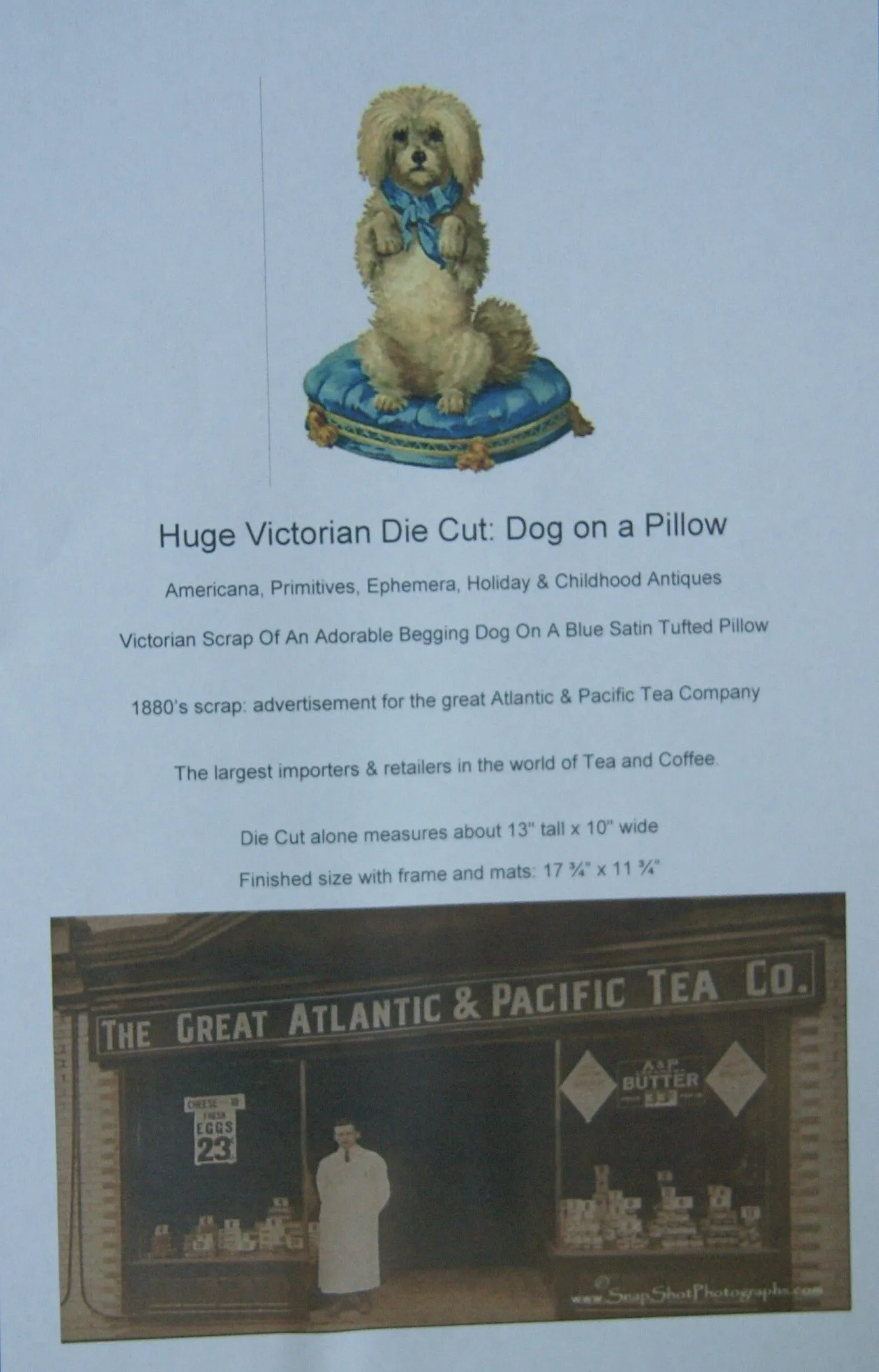 RARE EPHEMERA AMERICANA ANTIQUE, FRAMED ORIGINAL 1880 LARGE VICTORIAN TRADE CARD AD EPHEMERA DIE-CUT POODLE 17 ¾” x 11 ¾” DFPO1F WHIMSICAL ART, ARTIST HAND PAINTED FRAME