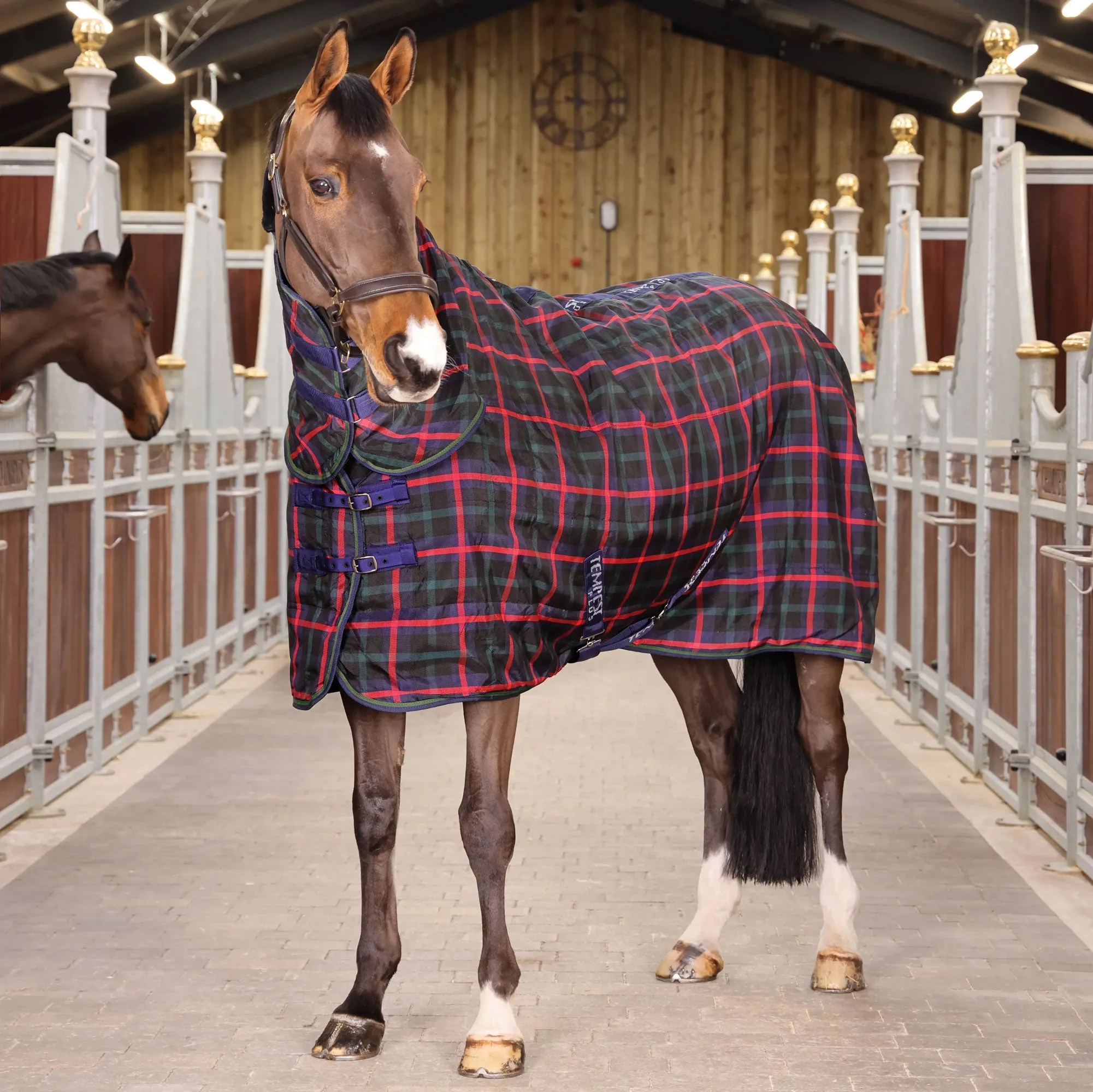 Shires Tempest Plus 100g Combo Stable Rug