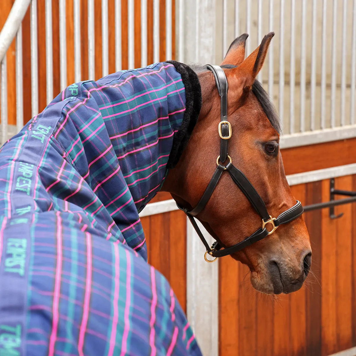 Shires Tempest Plus 100g Combo Stable Rug